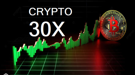 Crypto30x.com Ocean Beginner Guide and Platform Overview