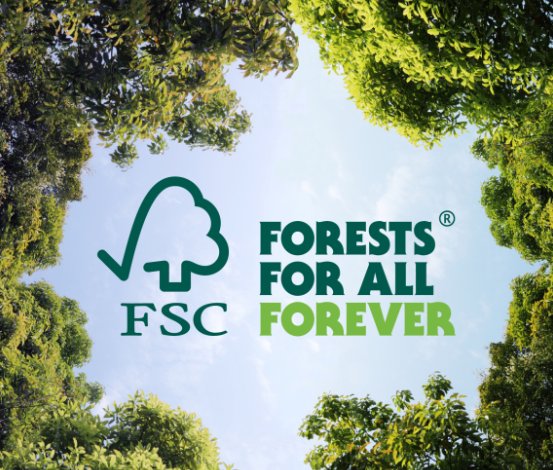 FSC Search Ultimate Guide With Powerful Easy Lookup Tips